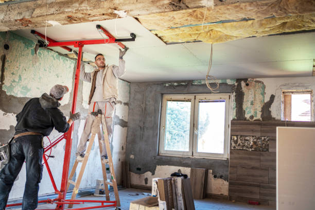 Best Cellulose Insulation in Haughton, LA