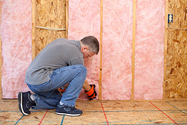 Best Energy Efficiency Insulation in Haughton, LA